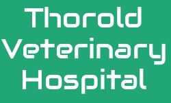 Logo for Thorold Veterinary Hospital Logo for Thorold Veterinary Hospital