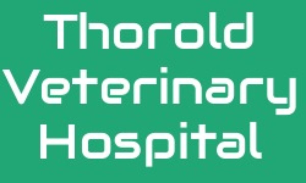 Thorold Veterinary Hospital NBOTAC Member Business Directory